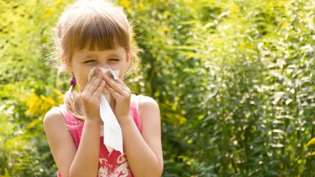 Las alergias a los alimentos, las anafilaxias, la dermatitis atópica y el asma alérgico se presentan con mayor frecuencia en la población infantil.