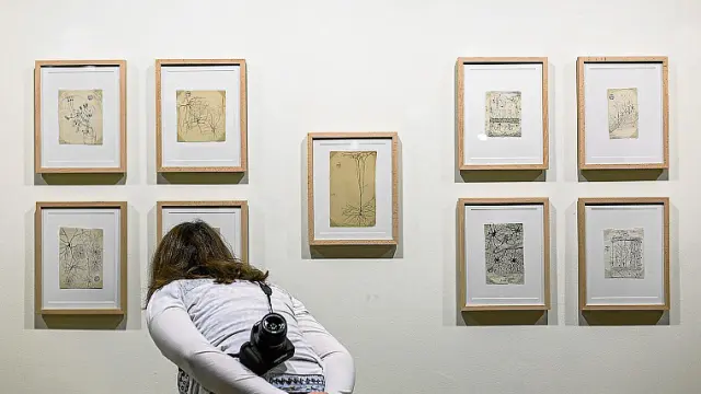Una joven contempla un mosaico de dibujos de Cajal.