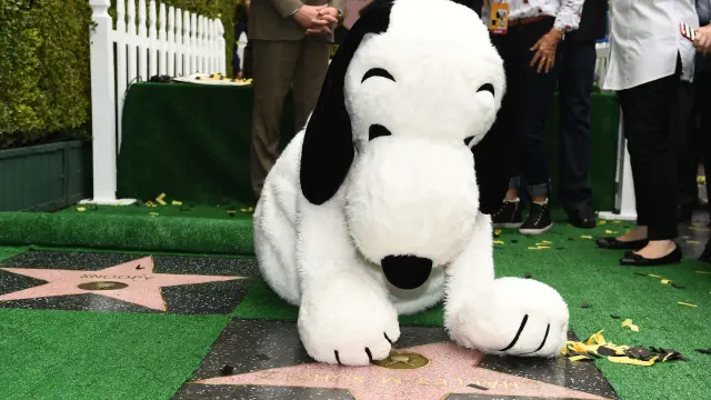 ?Snoopy, el primer beagle con estrella en el Paseo de la Fama.