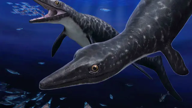 Una recreación del reptil marino que habitó hace 72 millones de años