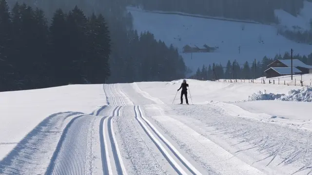 Pista de esquí de fondo