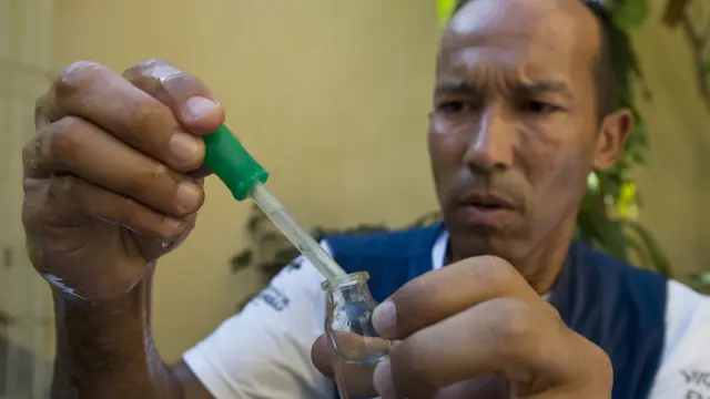 Un empleado del ministerio de Sanidad de Brasil busca larvas del mosquito.