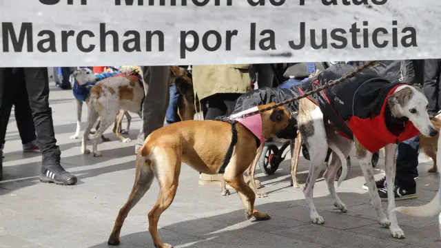 Protesta contra la caza con perros