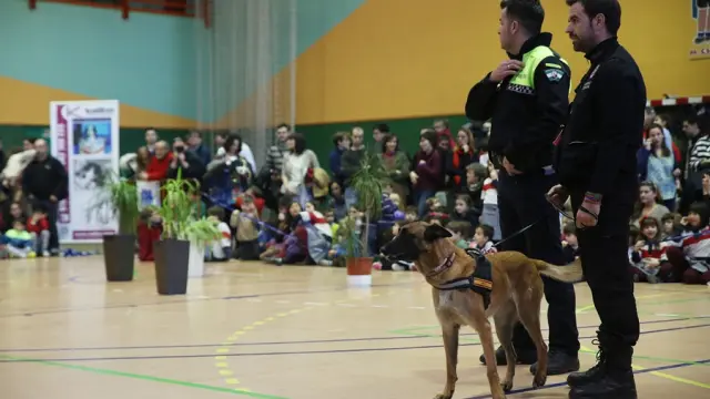 Exhibición de policía canina en Zaragoza