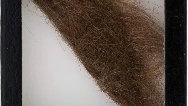 El mechón de pelo de Lennon subastado.