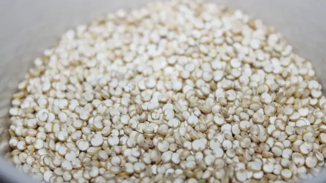 A menudo, en las dietas milagro se intercambia el arroz por la semilla de la quinoa.