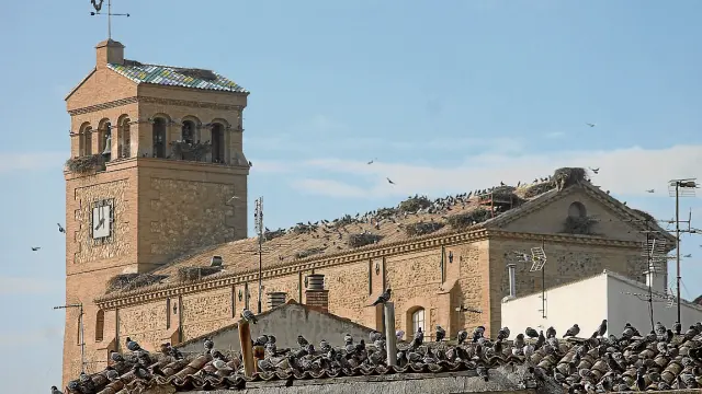 Numerosas aves sobre una vivienda y la iglesia, en una imagen captada antes de instalar las jaulas.