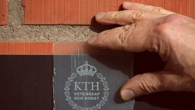 Investigadores suecos han conseguido una madera transparente.