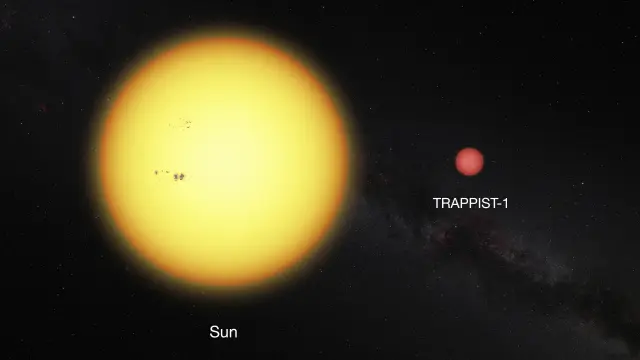 Comparación entre el Sol y la estrella enana ultrafría sobre la que giran estos tres planetas.