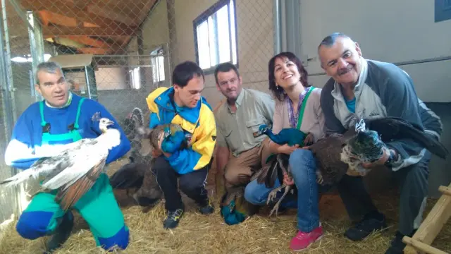 Llegada de los cinco pavos reales a la granja escuela de Atades en Martillué.