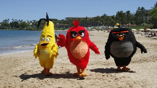 Imágenes de la presentación de 'Angry Birds, la película' en Hawai.