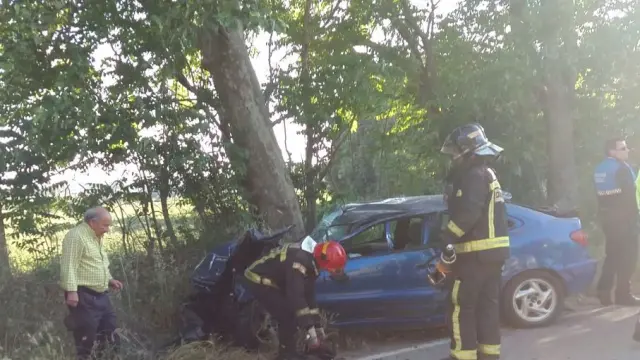 El coche chocó contra un árbol.