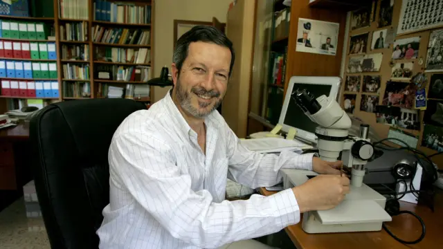El paleontólogo Eustoquio Molina, en una imagen de archivo