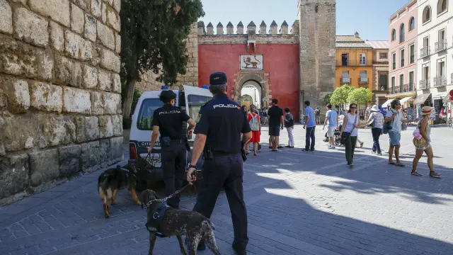 Policía patrullando por las calles de Sevilla.