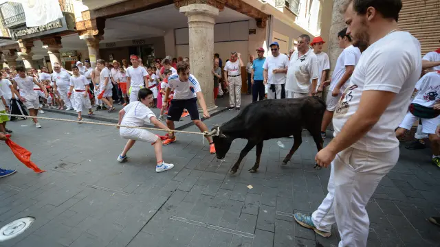 Vaquillas ensogadas en Teruel