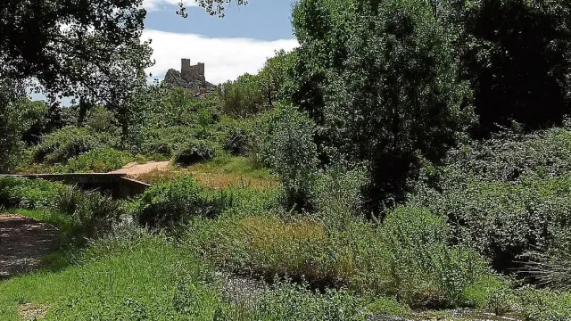 La Juntura, donde se unen el Isuela y el Aranda, el castilla de Arándiga, visto desde la fuente de La Anilla.