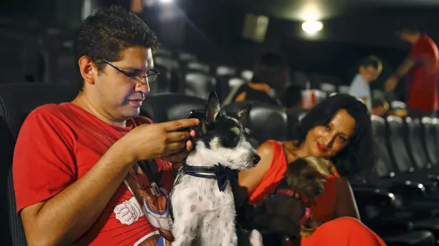 Experiencia en el cine en Madrid con mascotas