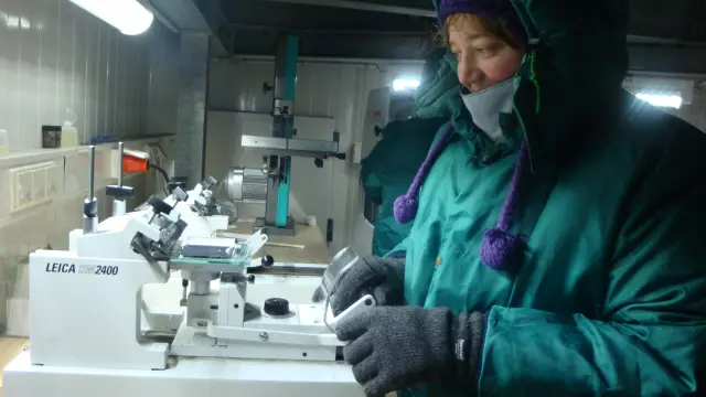 La investigadora zaragozana Gema Llorens trabajando en el laboratorio a 20º bajo cero para poder manipular el hielo.