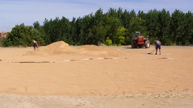 Trabajadores extienden la arena donde se ubicará la plaza de toros.