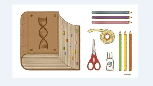 Si el ADN es el libro de la vida, CRISPR es la colección de herramientas para editar su texto. Esta técnica revolucionaria ha hecho renacer en el lenguaje científico un nuevo capítulo para las metáforas.