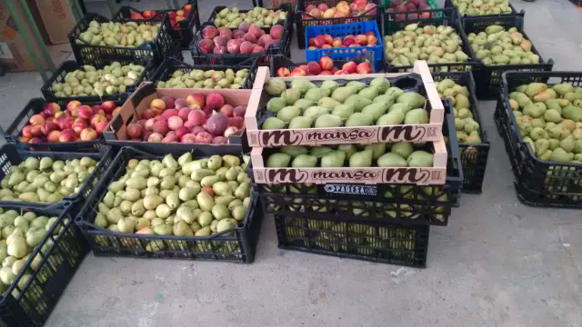 La Red de Solidaridad Popular de Zaragoza reparte 700 kilos de frutas y hortalizas.
