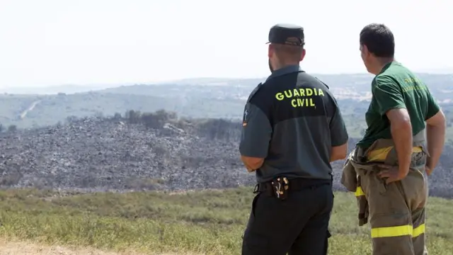 Varios medios aéreos y terrestres trabajan en la extinción de un incendio forestal declarado esta madrugada en el término municipal de Ferreruela de la Tábara, en Zamora,