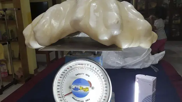 La perla de ostra de 34 kilos encontrada por un pescador filipino en la isla de Palawan.