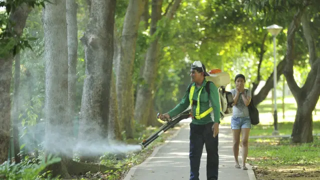 Medidas contra el Zika en Singapur