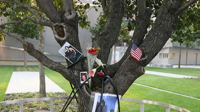 Homenaje a las víctimas en el árbol que sobrevivió al 11-S.