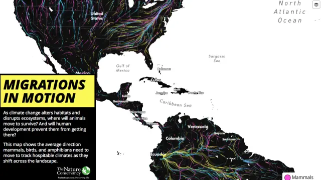 Captura del atlas animado 'Migrations in Motion'