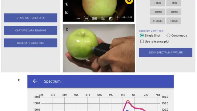 Un análisis de la fruta a través de la app permite estimar su grado de madurez.
