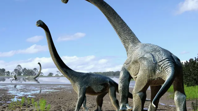 Savannasaurus elliottorum