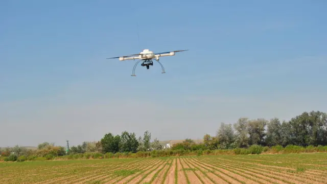 Un dron sobrevuela un campo aragonés.