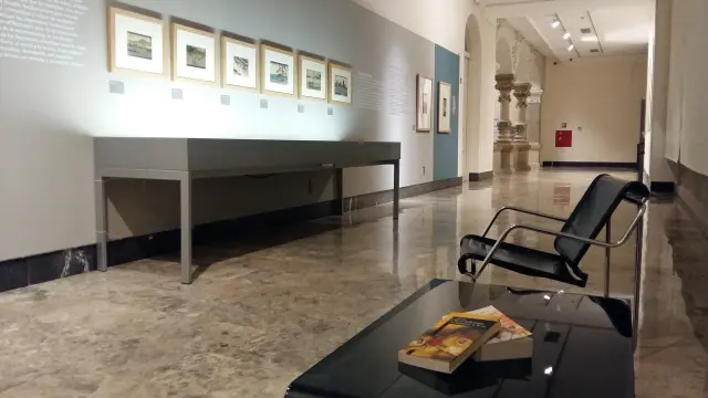Libros liberados en el Museo de Zaragoza