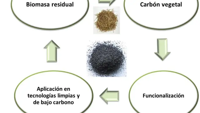 El proyecto Greencarbon desarrolla nuevo conocimiento y tecnología para los carbones obtenidos a partir de biomasa.