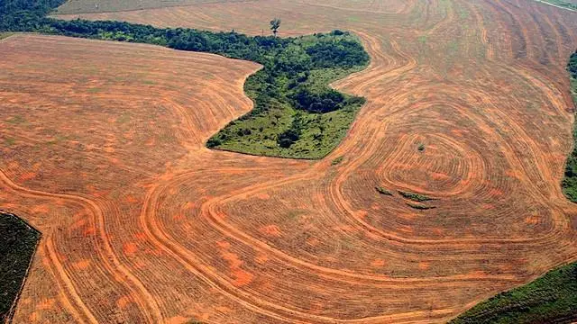 Deforestación en la Amazonía brasileña.