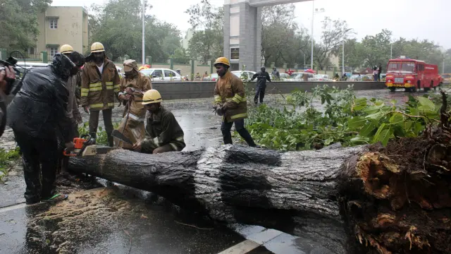 Efectivos de emergencias retiran un árbol caído en Chennai (India) a consecuencia de los fuertes vientos.