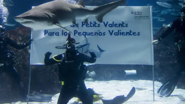 Antonio Orozco se baña con tiburones por una buena causa.
