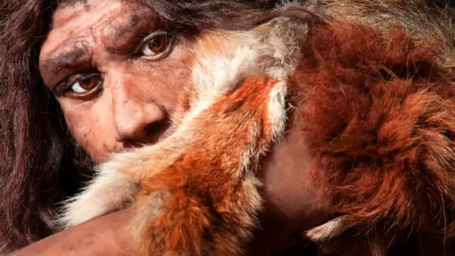 Reconstrucción de un hombre neandertal.