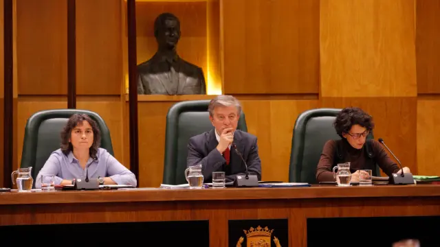 Pleno del Ayuntamiento de Zaragoza este viernes.