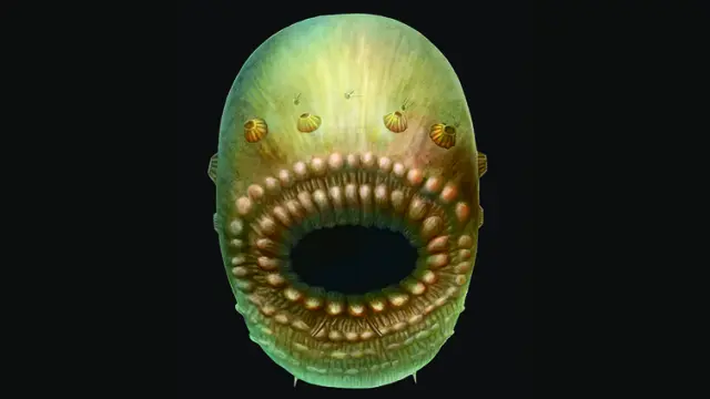 Saccorhytus coronarius mide apenas un milímetro y tiene una boca inmensa