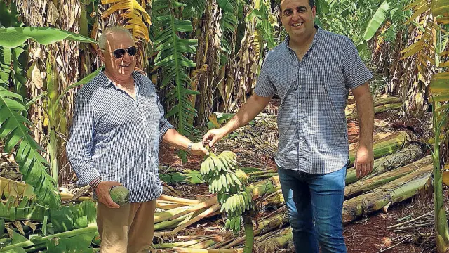 Juan Manuel Roche, a la derecha, con un productor de plátano en Cuba.