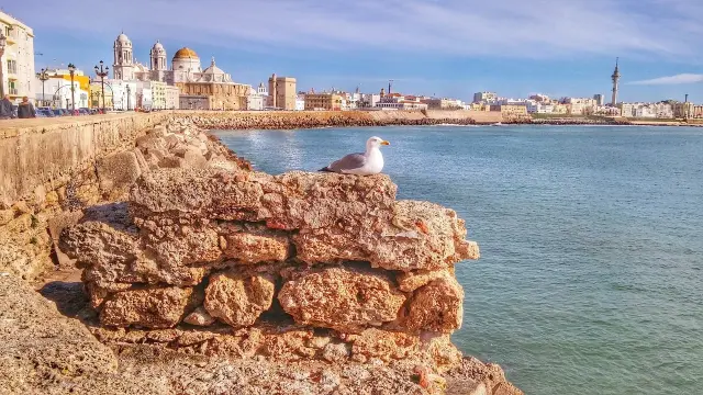 La ciudad más antigua de España mira siempre al mar.
