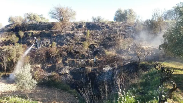 Una persona ha fallecidoen Caspe al parecer cuando quemaba restos de poda en un campo de olivos de su propiedad.