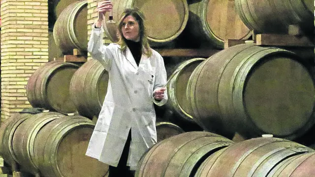 Elena Murillo, técnico de laboratorio de Bodegas Paniza en las instalaciones de la empresa.