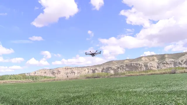 Delsat ofrece con sus drones servicios para agricultura de precisión