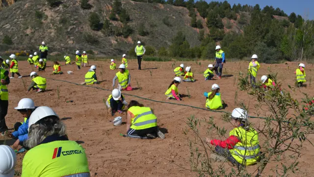 Alumnos del colegio Lucas Arribas de Morata de Jalón plantando árboles este jueves.