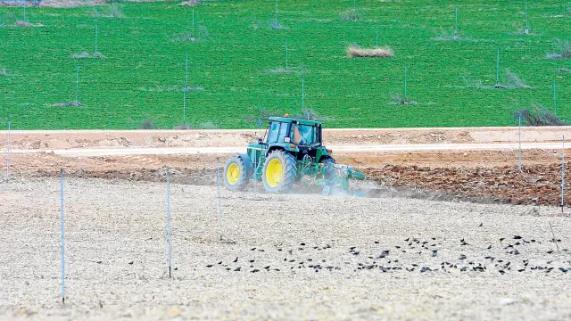Un agricultor prepara un campo para la siembra del maíz en el municipio oscense de Albero Bajo.