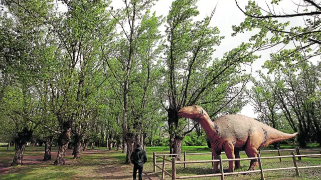 Bosque de chopos cabeceros del futuro parque cultural en Galve con una réplica de Iguanodón.