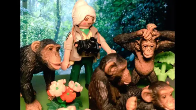 Jane Goodall, de juguete.